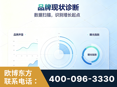 错那-品牌现状诊断